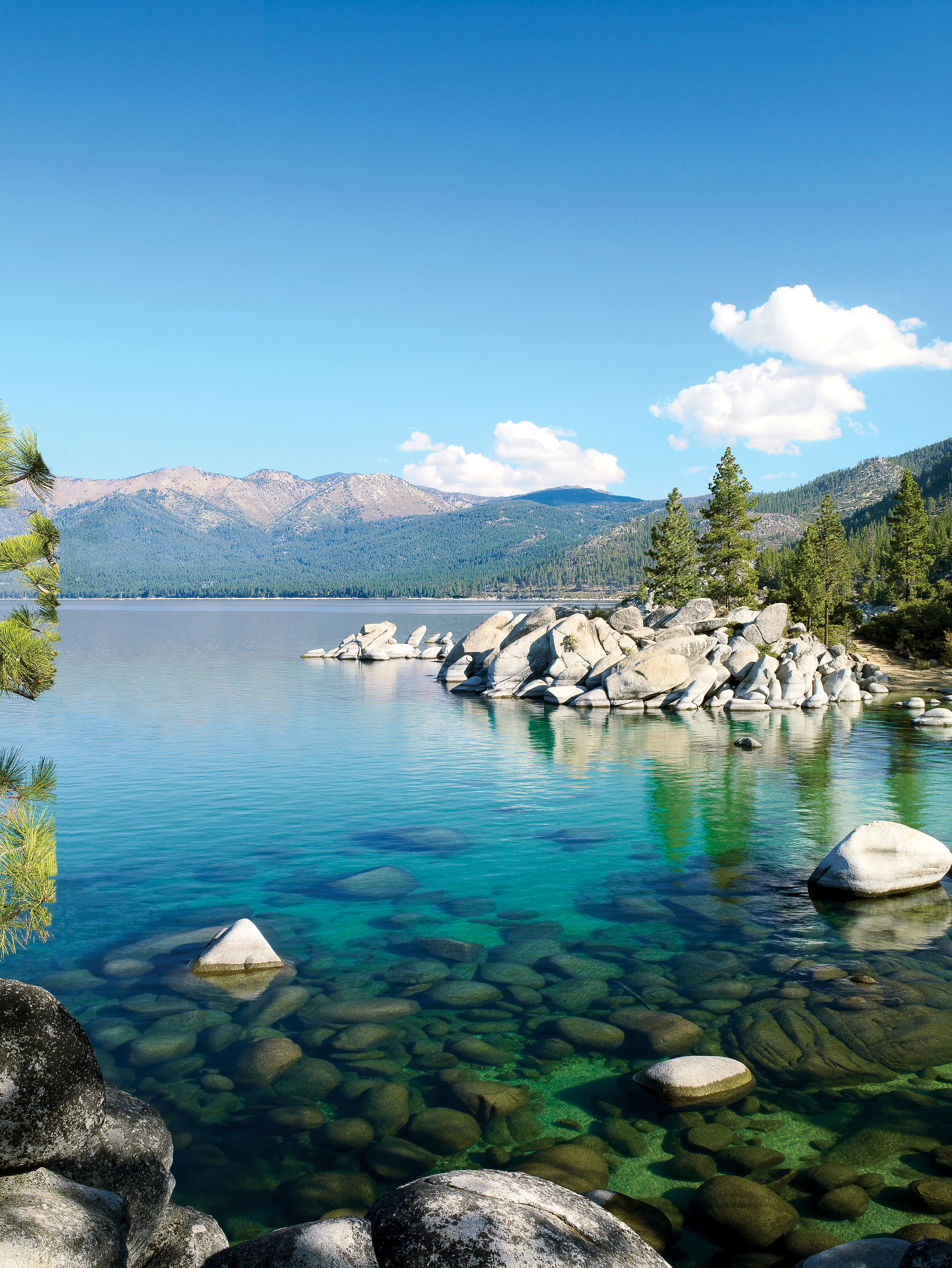 The Lake Tahoe Summer