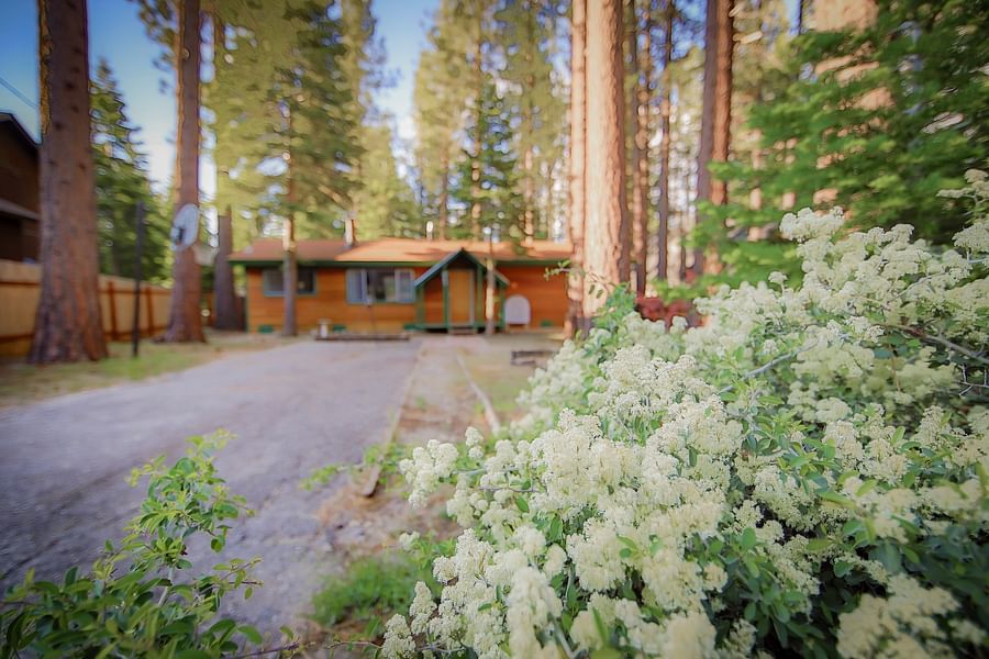 Whispering Pines Retreat Lake Tahoe
