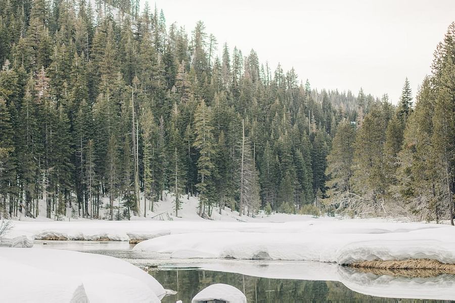 Lake Tahoe mid-elevation forest