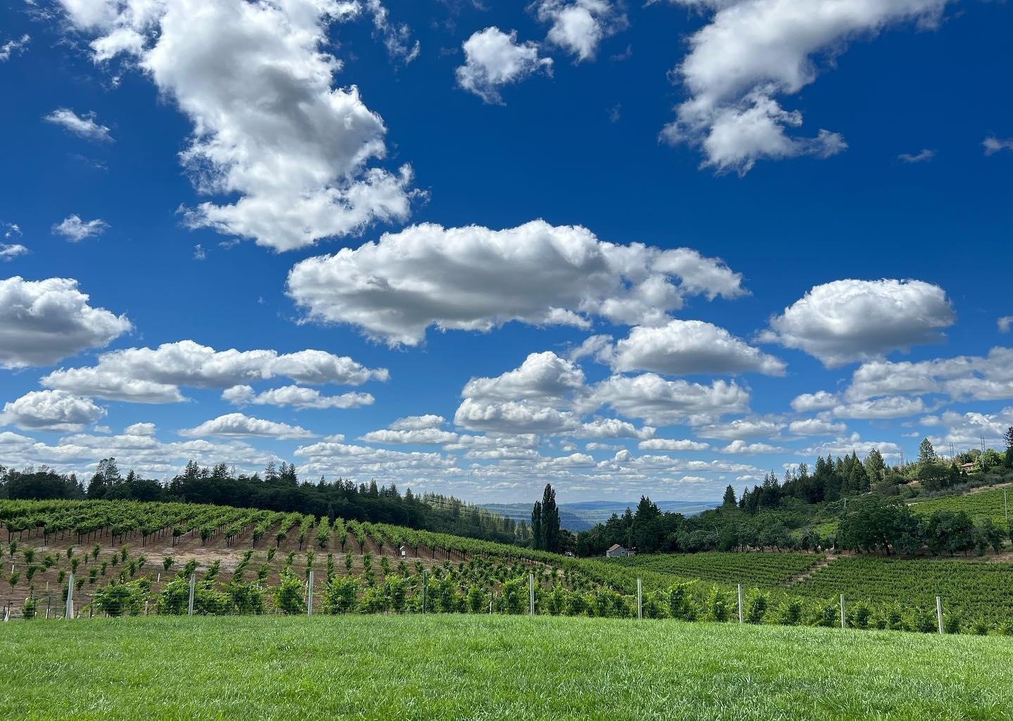 Boeger Winery Lake Tahoe