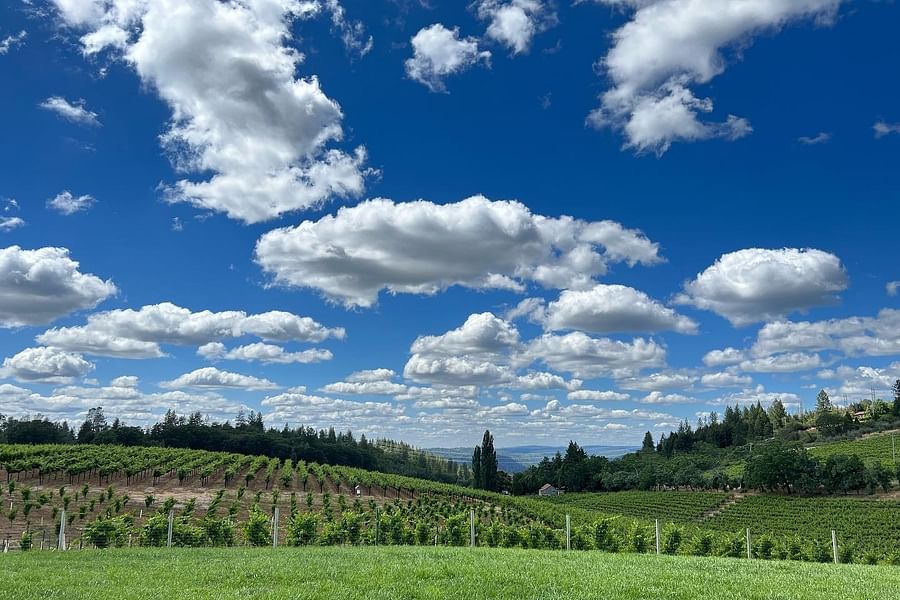 Boeger Winery Lake Tahoe