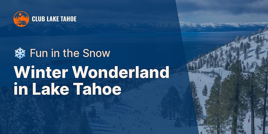 Winter Wonderland in Lake Tahoe - ❄️ Fun in the Snow