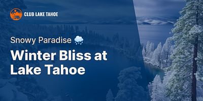 Winter Bliss at Lake Tahoe - Snowy Paradise 🌧