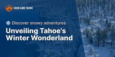 Unveiling Tahoe's Winter Wonderland - ❄️ Discover snowy adventures