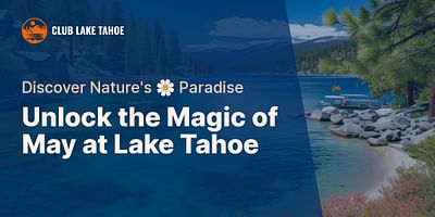 Unlock the Magic of May at Lake Tahoe - Discover Nature's 🌼 Paradise