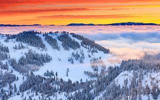 Which Lake Tahoe ski resort is the best for me?